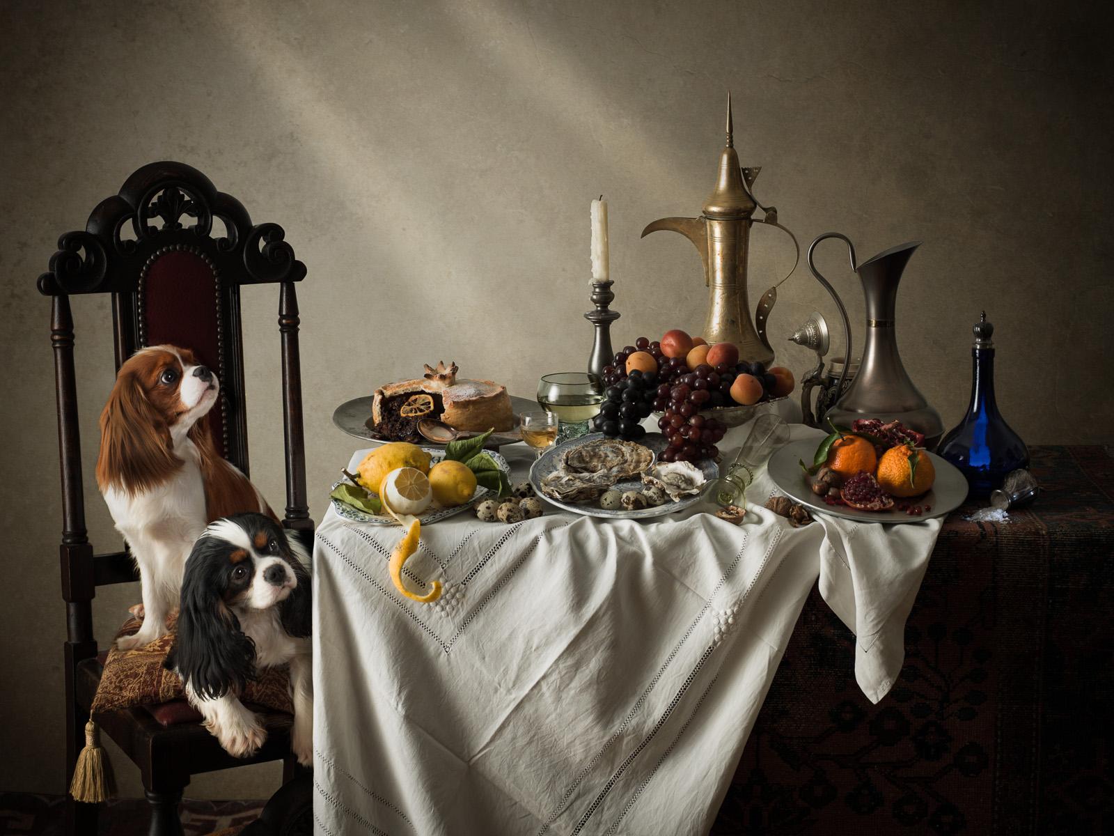 Cane olandese #3 Charles Charles Spaniels -  Stampa a pigmenti d'archivio firmata in edizione limitata  -  Edizione di 10

Una serie di quattro immagini ispirate all'epoca d'oro della pittura olandese di nature morte del XVII secolo. Spesso vengono