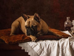 Chien hollandais #4 Bouledogue français - Tirage d'art signé en édition limitée, Nature morte