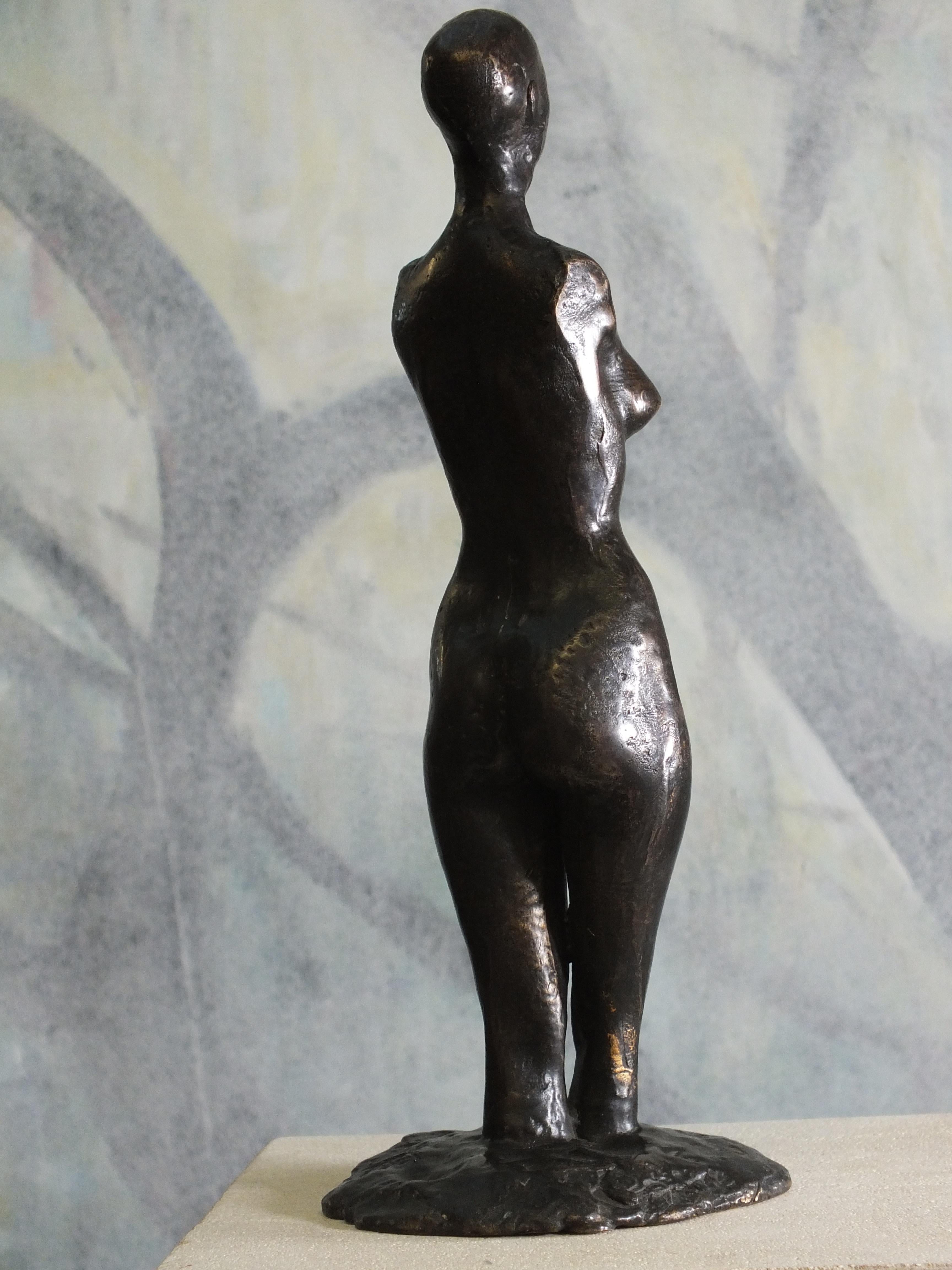 
From the Naiad Series

Tim was born in Derbyshire, England & from an early age was attuned to the natural world. He came to art later in life and forges his sculptures using mainly the lost wax technique. His materials are bronze, steel &