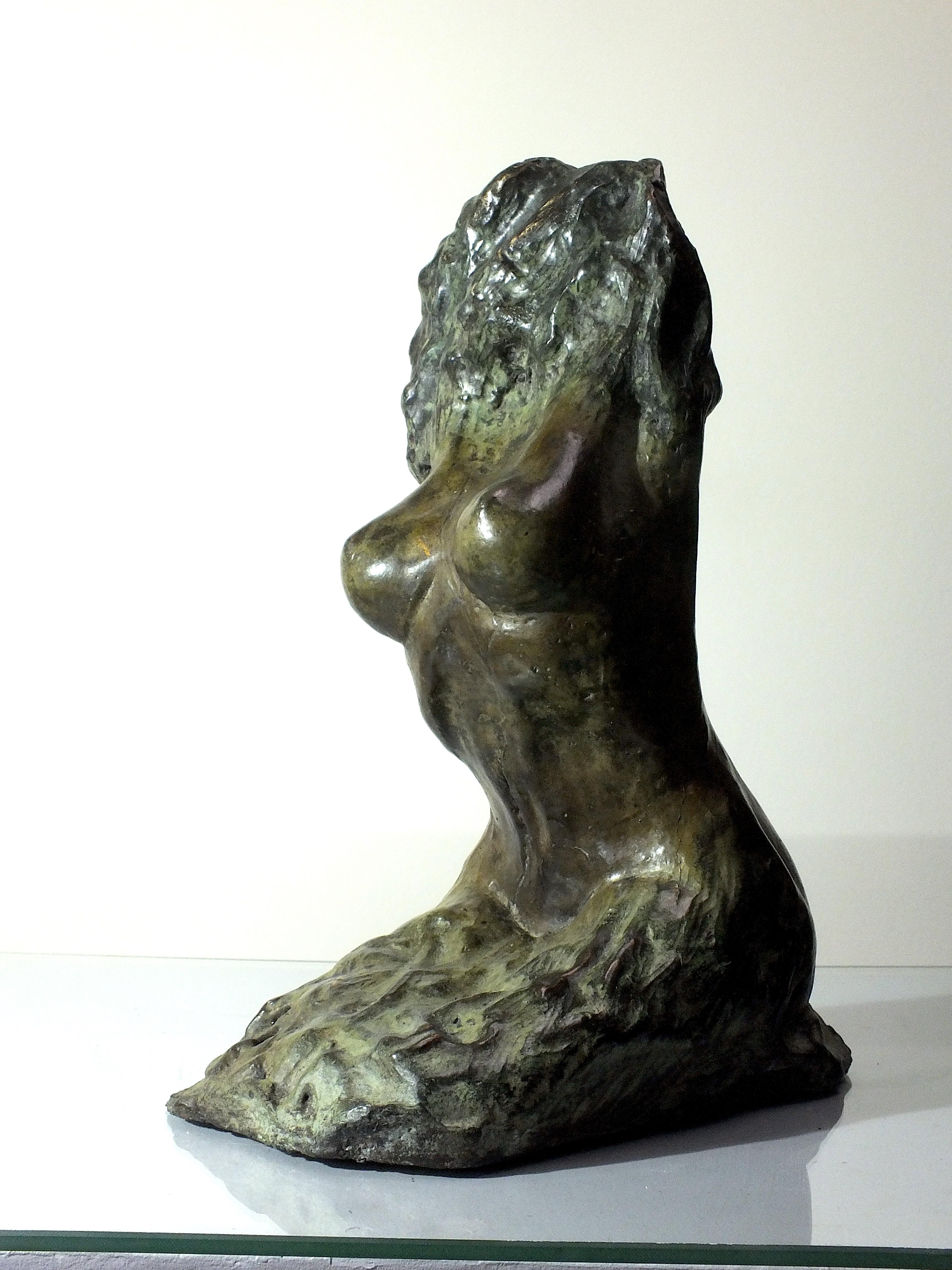 Emergent Figure 1 of 10

Tim Rawlin is a contemplative artist who explores the idea of self & identity. In this piece it's almost as if the soul has been laid bare allowing one to speculate about who we are. It's a reflective and tactile sculpture.