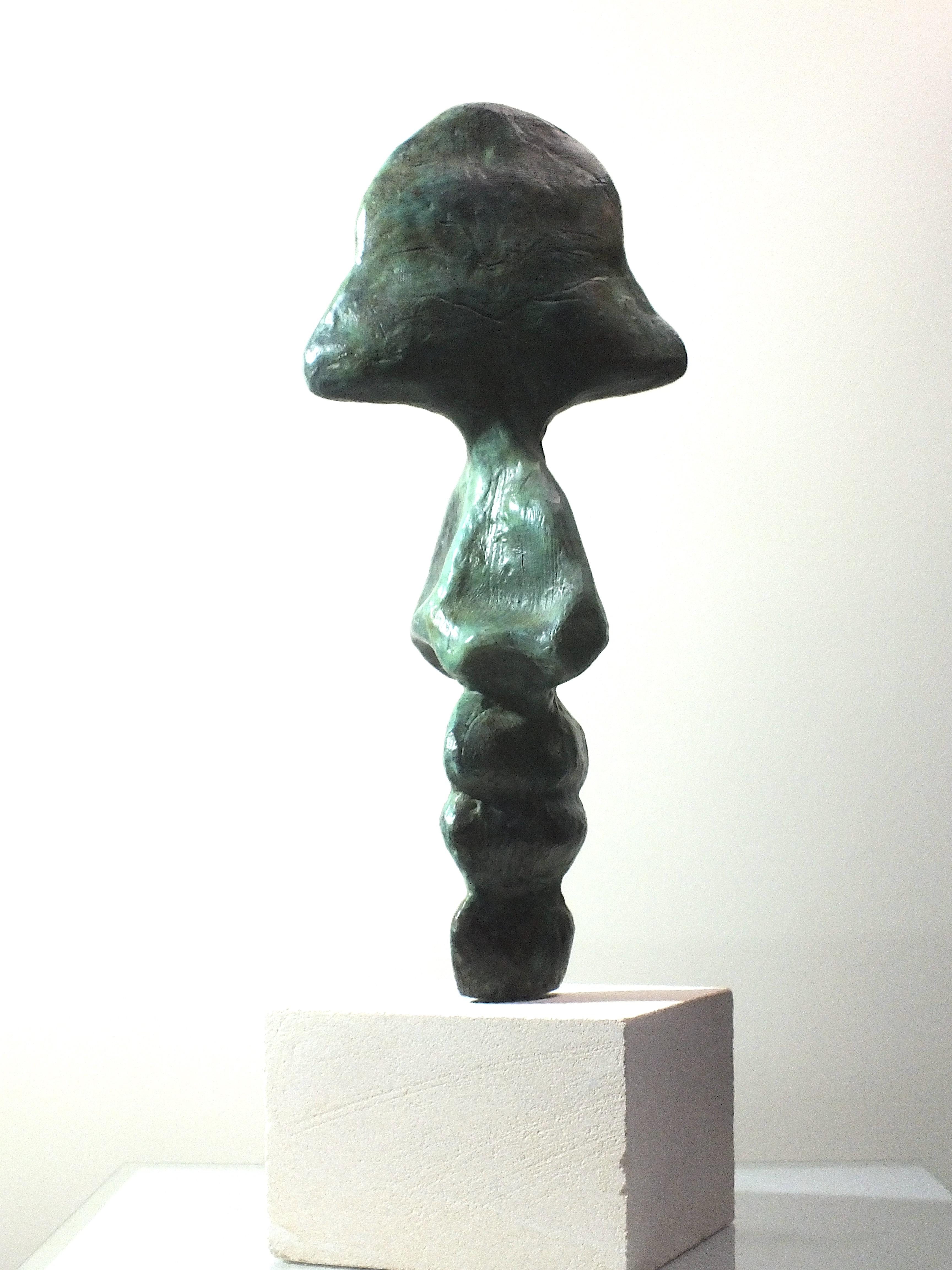 Tim Rawlin is a contemplative artist who explores the idea of self & identity. In this piece it's almost as if the soul has been laid bare allowing one to speculate about who we are. It's a reflective and tactile sculpture. This bronze is number 3