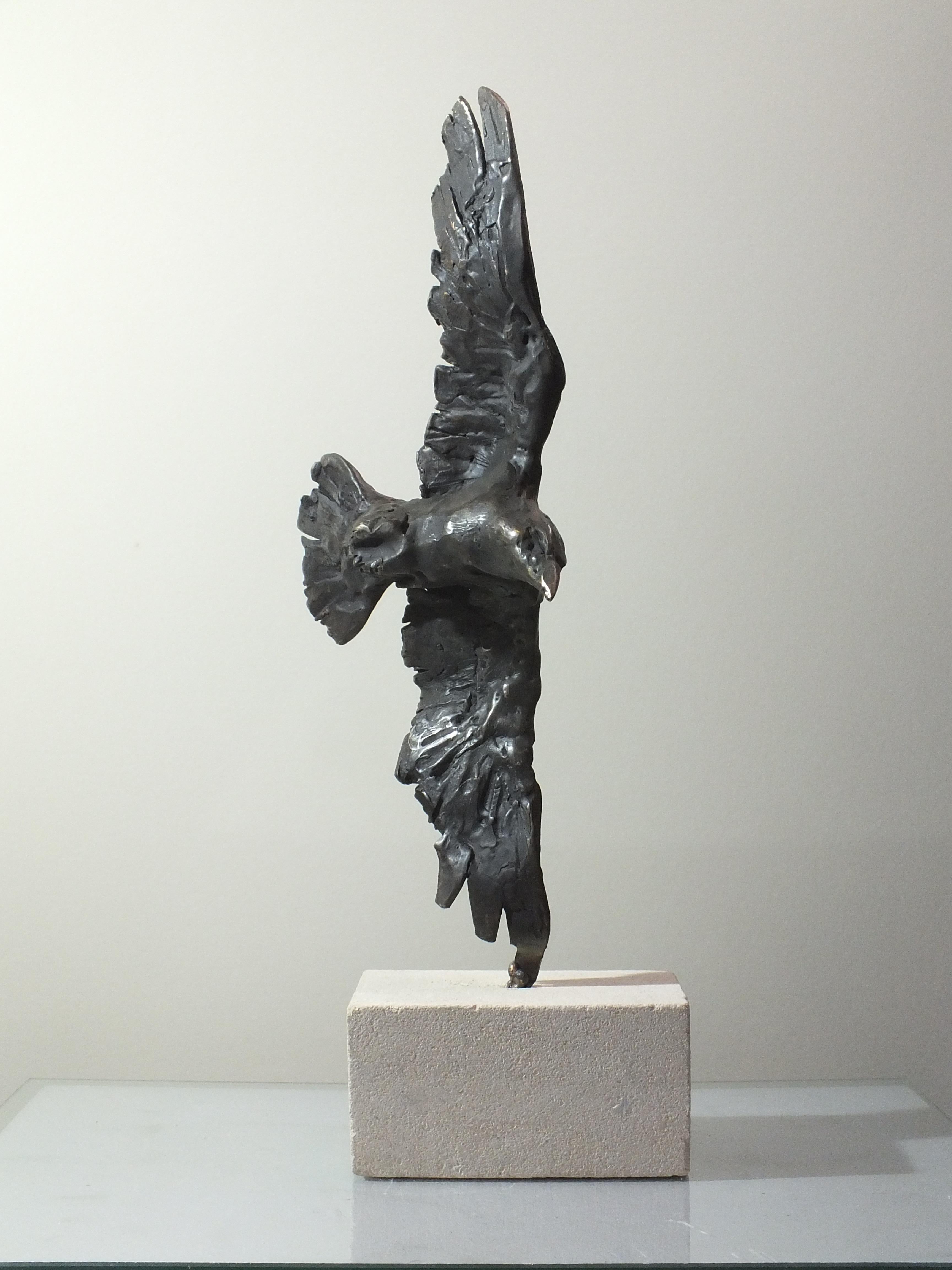 Tim Rawlins Figurative Sculpture - Raven, Dominion Series: Unique Contemporary Cast Bronze Sculpture