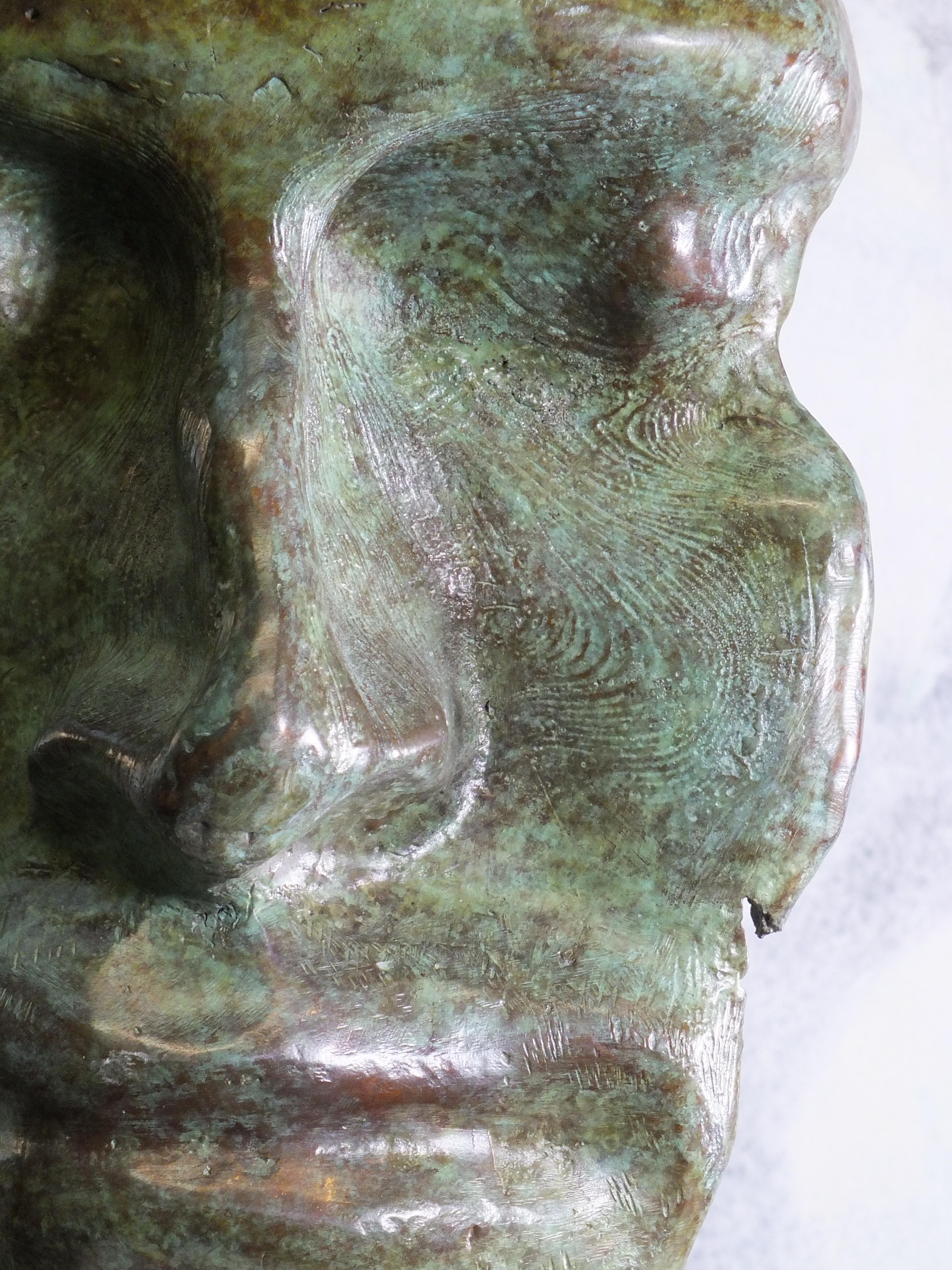 
Aus der Witness-Serie. Einzigartiges Stück
Bronze Größe cms. 39x19x15 plus Kalksteinsockel 18x18x14

Tim wurde in Derbyshire, England, geboren und war von klein auf mit der Natur verbunden. Er kam erst später zur Kunst und schmiedet seine