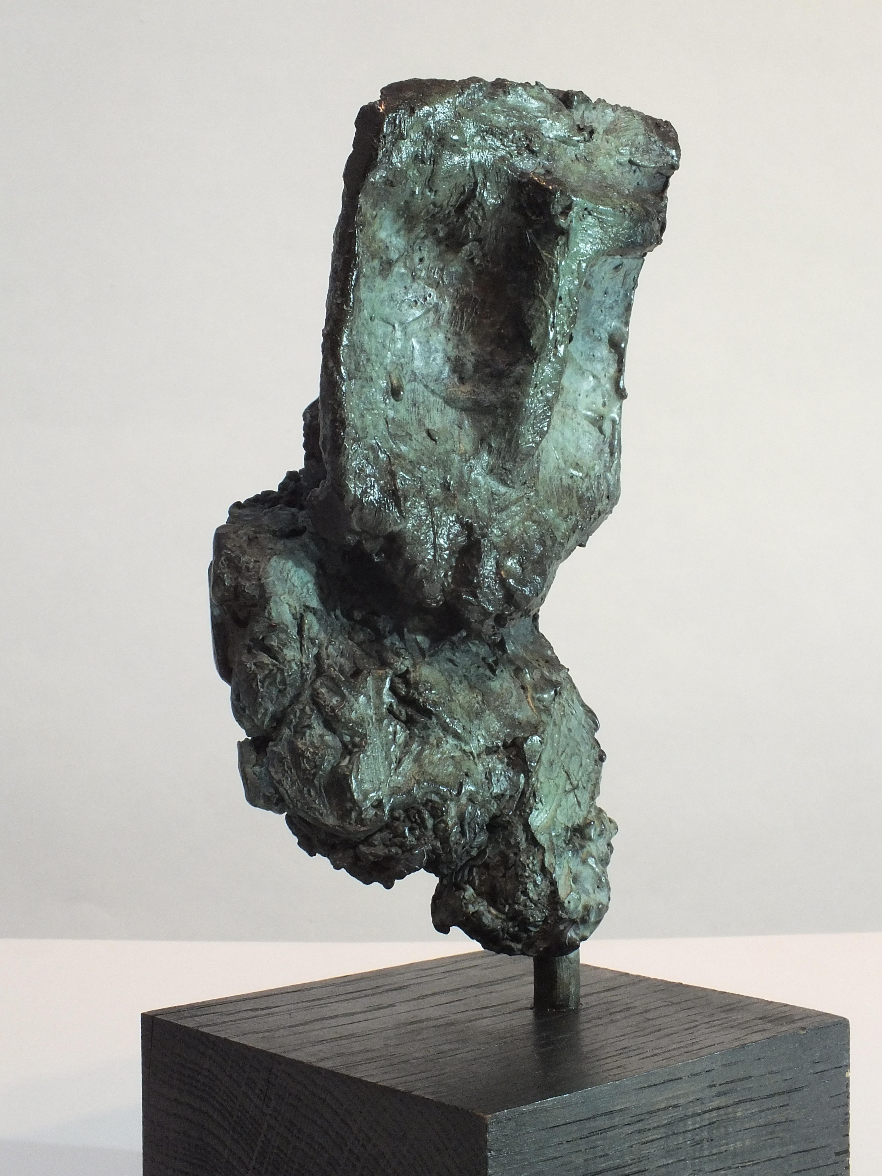 Sentinel II,  Zeitgenössische Skulptur aus gegossener Bronze (Gold), Nude Sculpture, von Tim Rawlins
