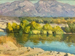Desert Reflection; Palm Springs