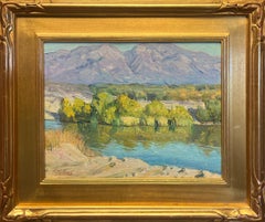Desert Reflection; Palm Springs