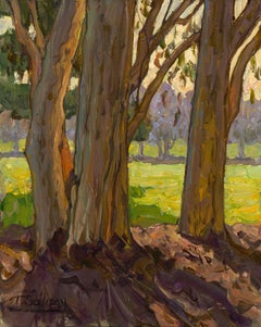 Pomeriggio all'eucalipto