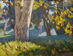 Vista dal rough