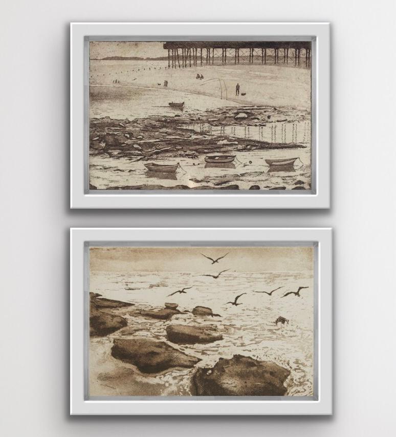 Tim Southall Landscape Print - Sea Birds and Beach Life diptych