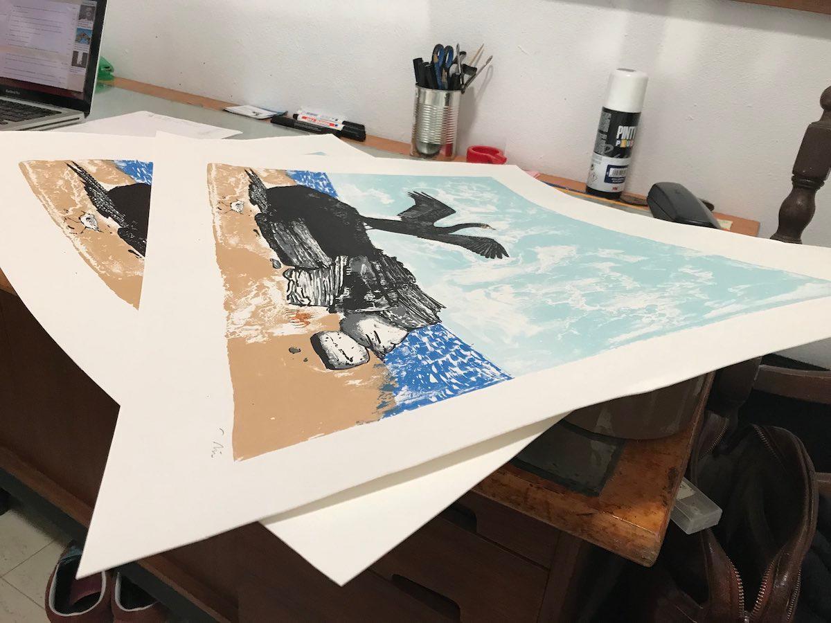 The Cormorant, Tim Southall, Handmade print, contemporary print for sale For Sale 3