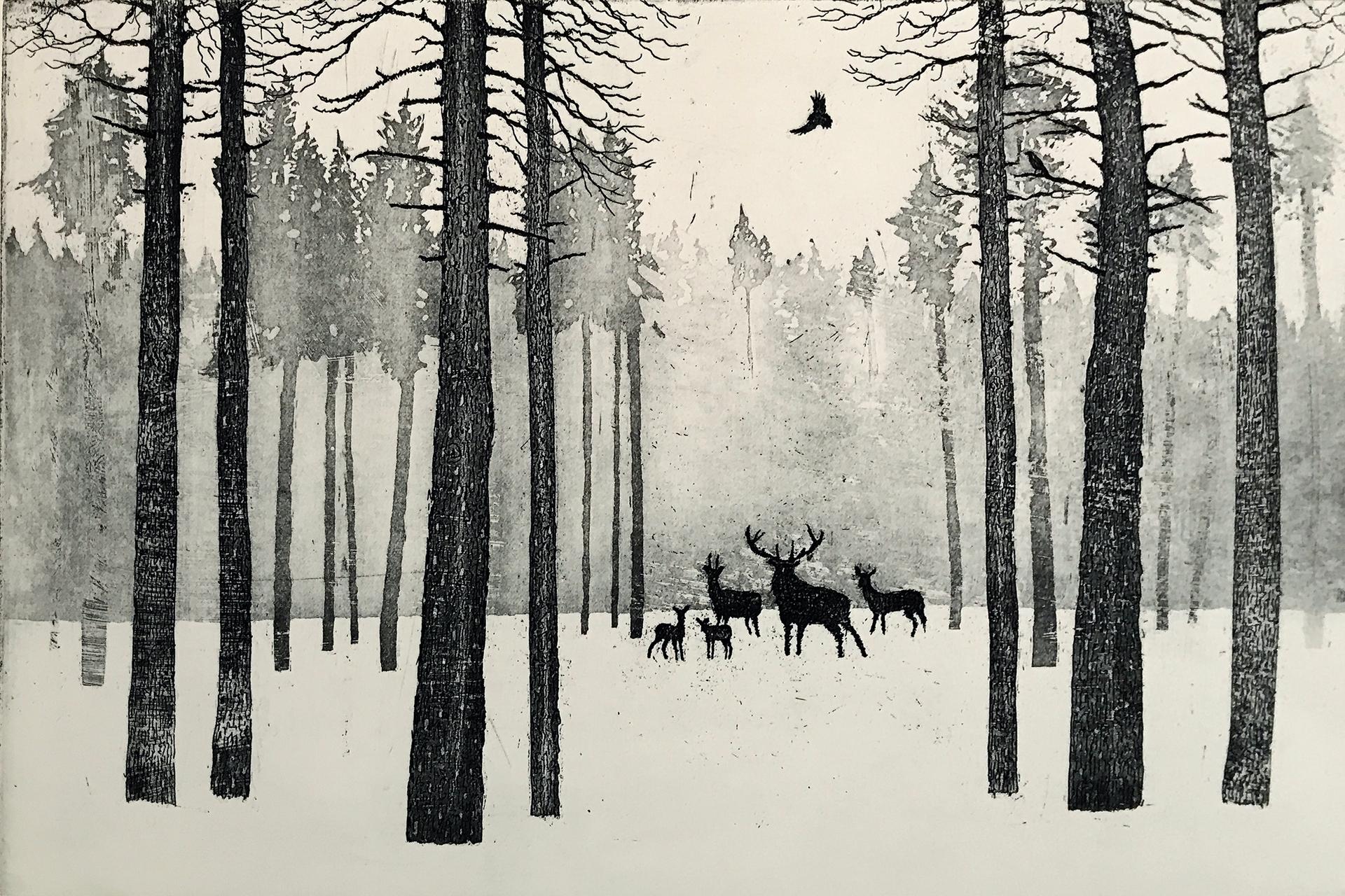 Tim Southall, Deer in Winter, Contemporary Etching, Animal Print, Affordable Art