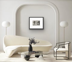 Tim Southall, Lobo solitario, Impresión en blanco y negro hecha a mano, Arte paisajístico moderno