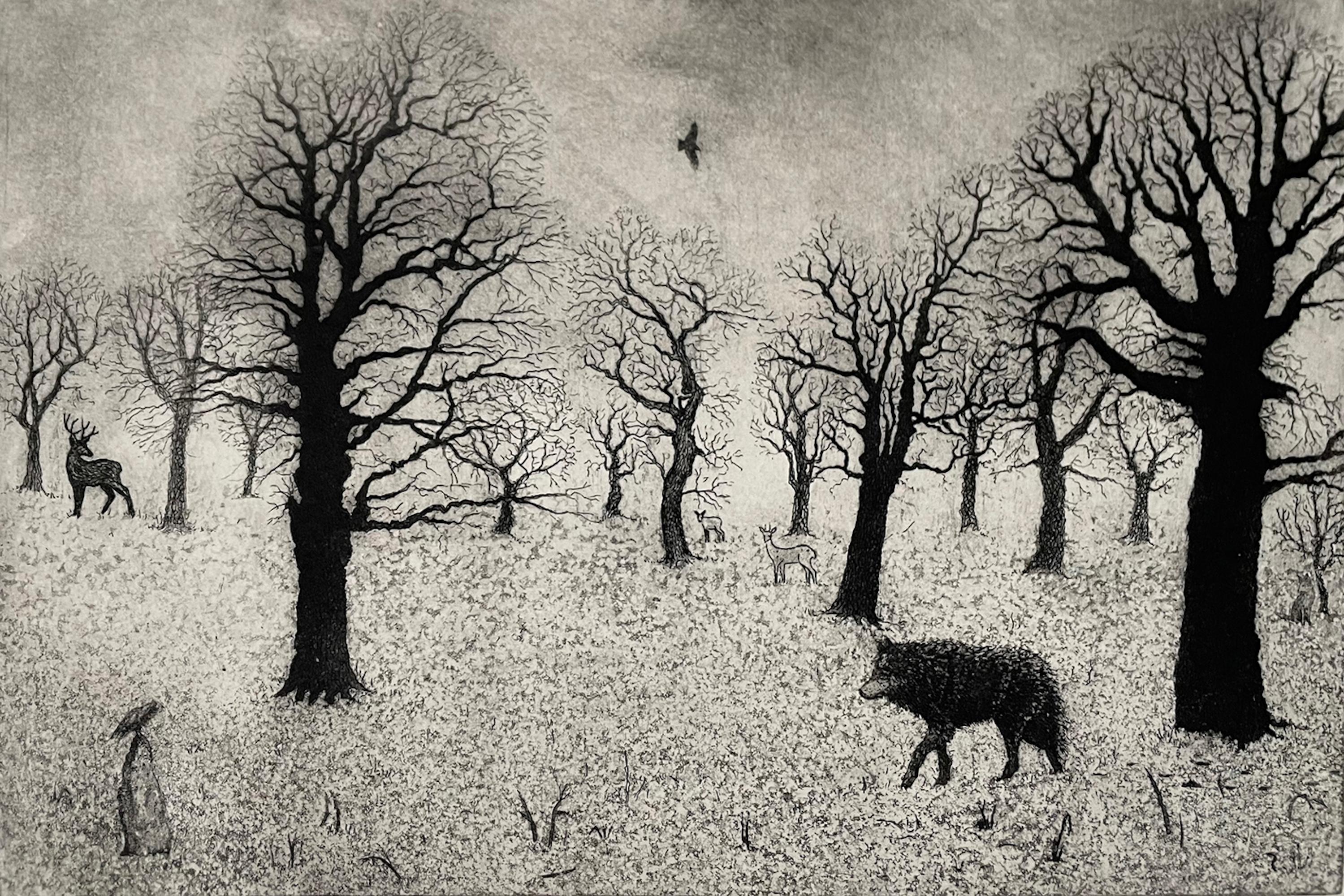 Tim Southall, Lupo solitario, Stampa a mano in bianco e nero, Arte del paesaggio moderno