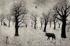 Tim Southall, Lone Wolf, Black and White Handmade Print, Modern Landscape Art