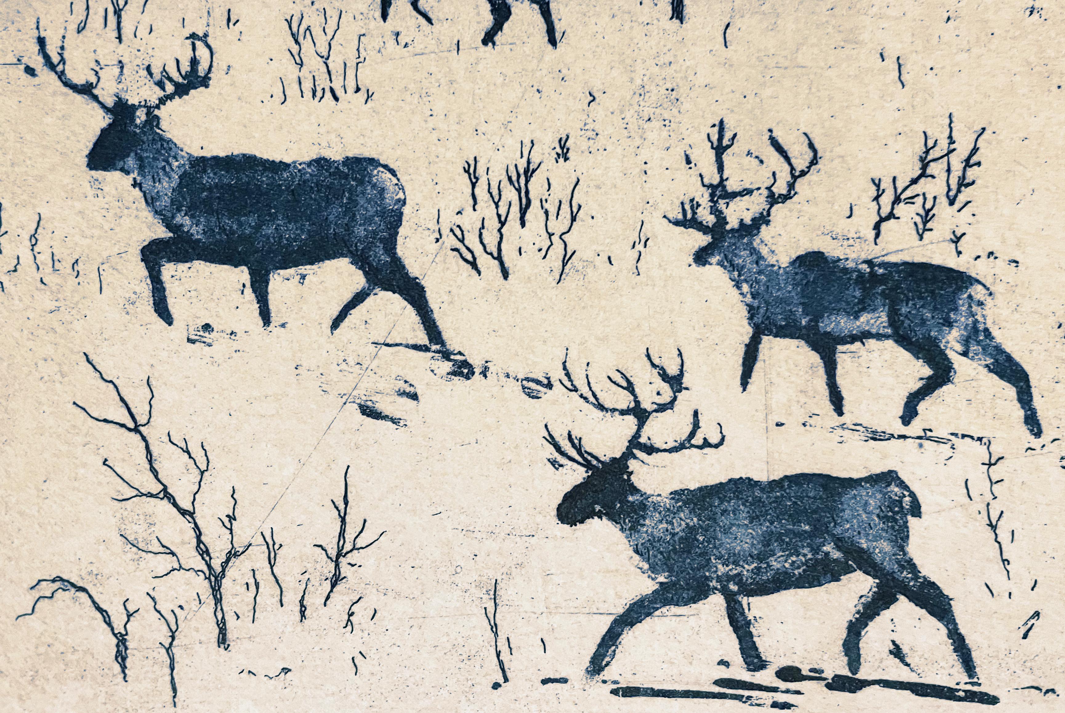 Where Reindeer Roam, estampes en édition limitée, art à prix abordable, imprimé animal - Gris Animal Print par Tim Southall