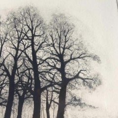 White Horses, Tim Southall, Limited Edition, Tree Artwork, Animal Artwork, Art