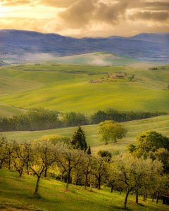 Early Morning Light, Tuscany