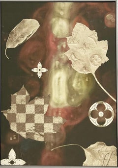 Mixed Media Unique Art Photo Louis Vuitton, Paris, Tim White Sobieski Photograph