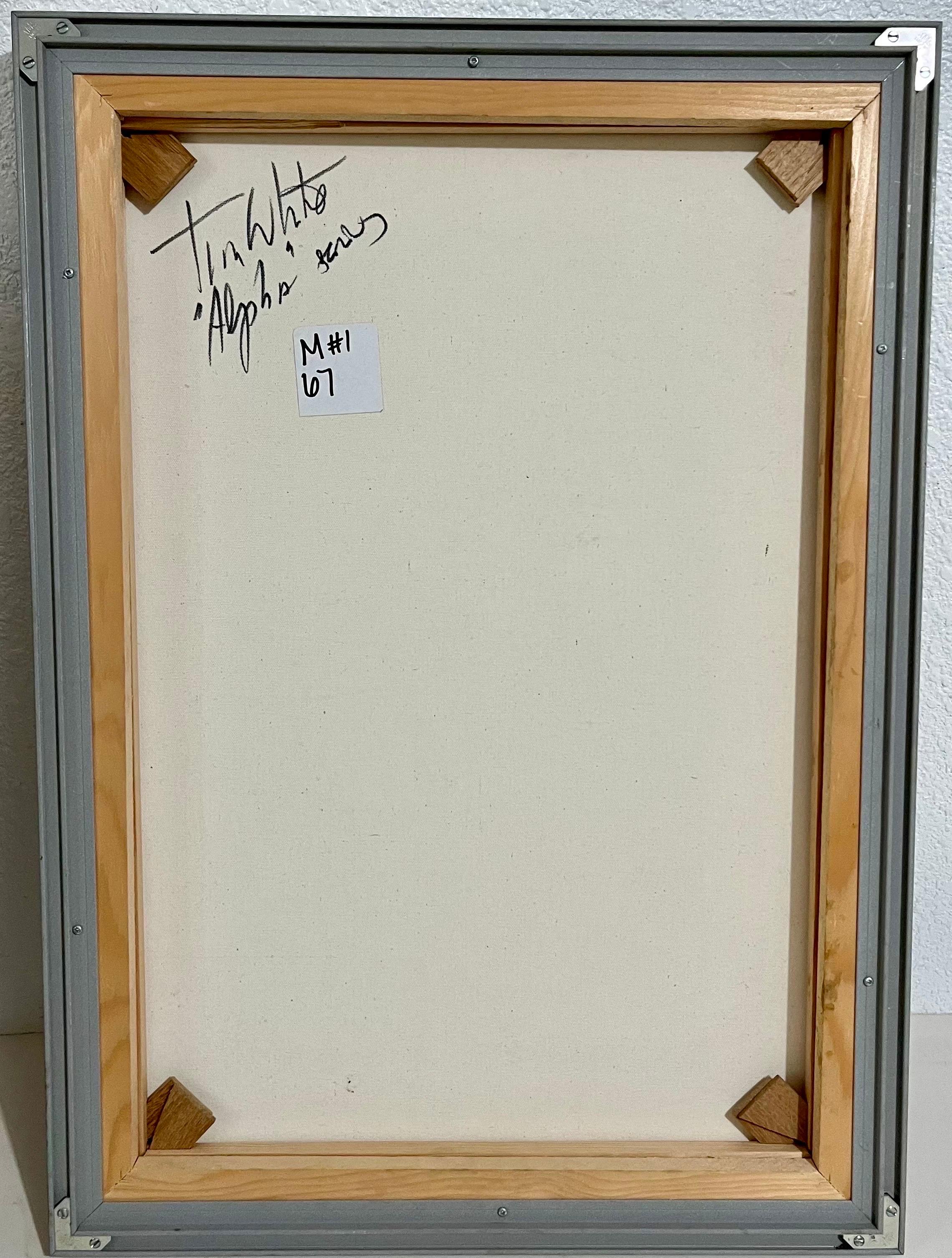 Técnica mixta Arte único Fotografía Louis Vuitton, París, Fotografía Tim White Sobieski en venta 2