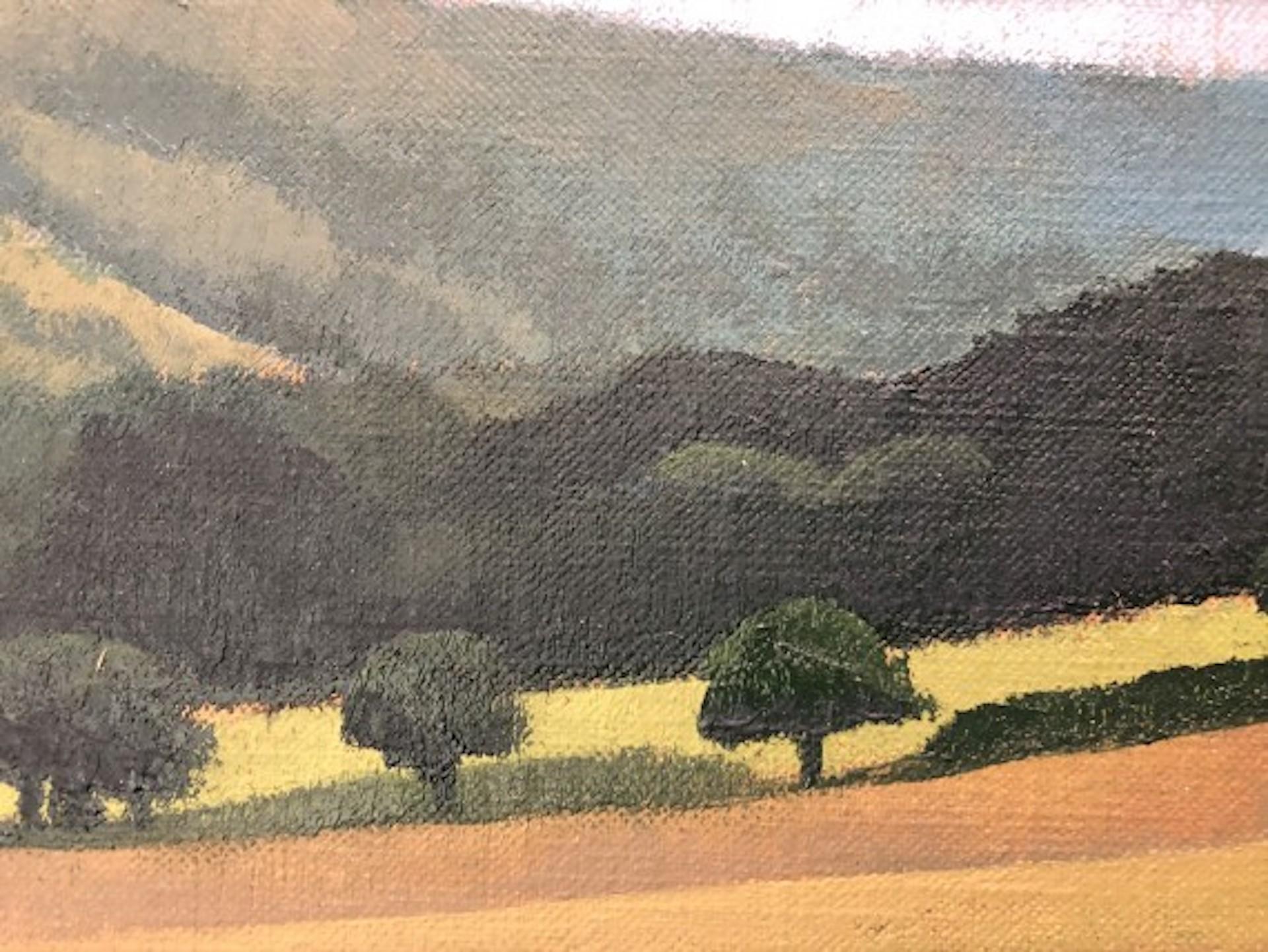 Woodcock-Jones, Ansicht von Ashridge, Original-Landschaftsgemälde (Impressionismus), Painting, von Tim Woodcock-Jones