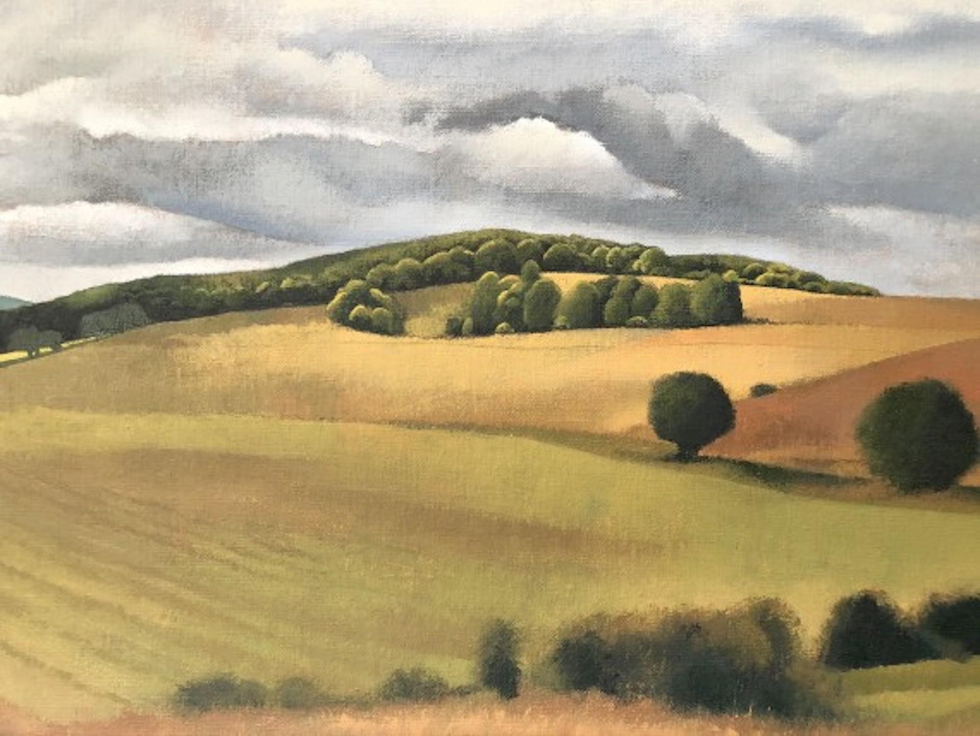 Tim Woodcock-Jones, Vista da Ashridge, dipinto originale di paesaggio in vendita 3