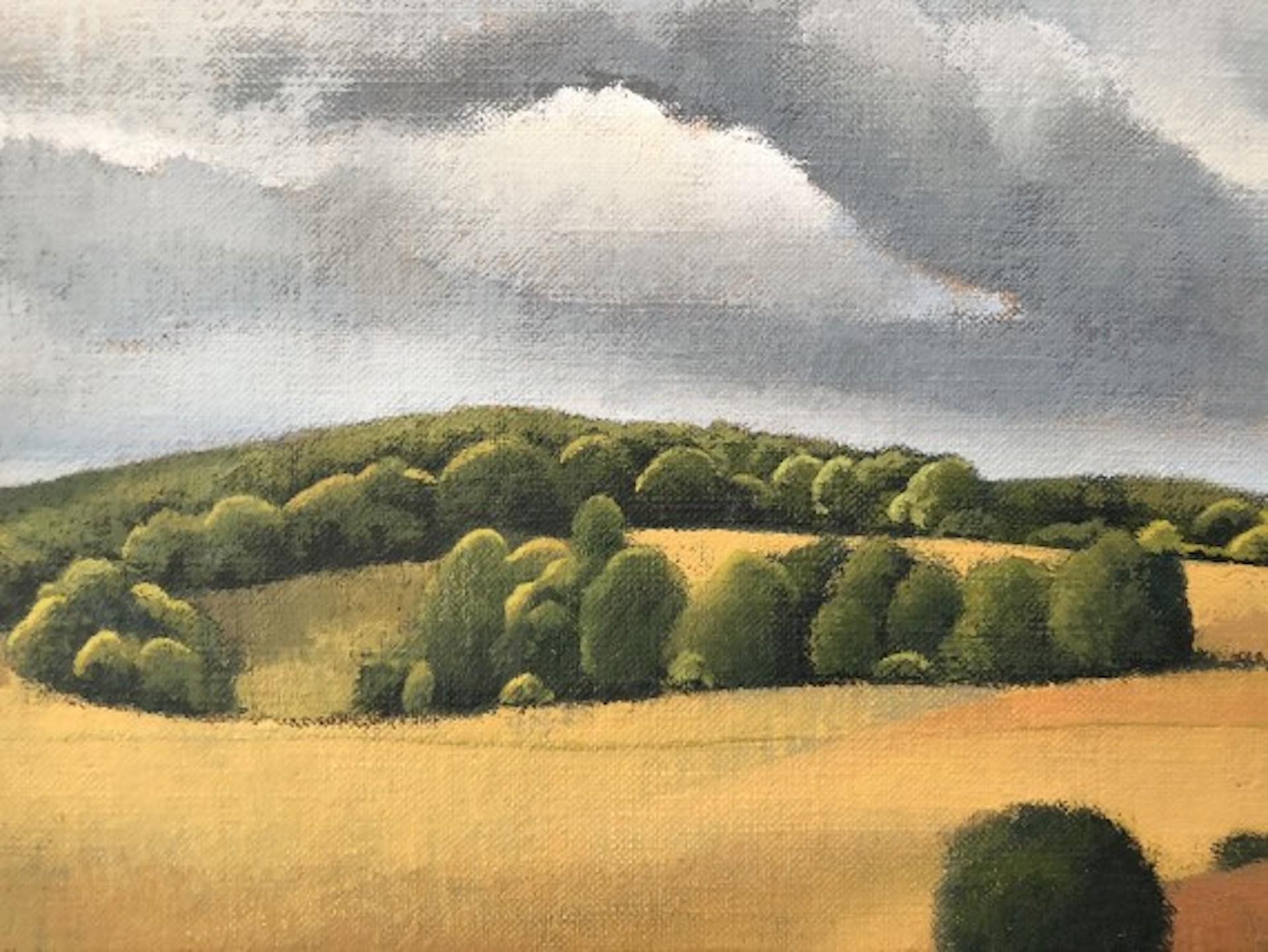 Tim Woodcock-Jones, View from Ashridge, Original Landscape Painting For Sale 1