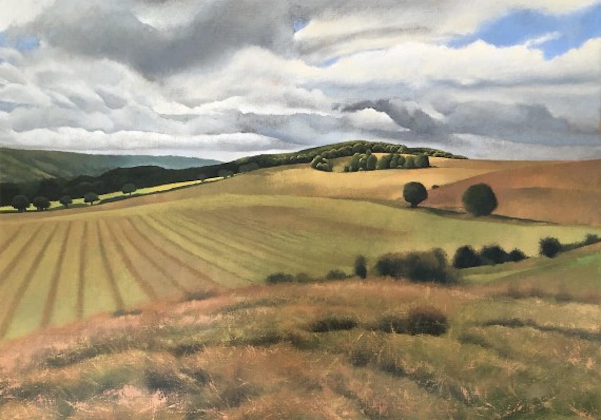 Tim Woodcock-Jones Landscape Painting – Woodcock-Jones, Ansicht von Ashridge, Original-Landschaftsgemälde