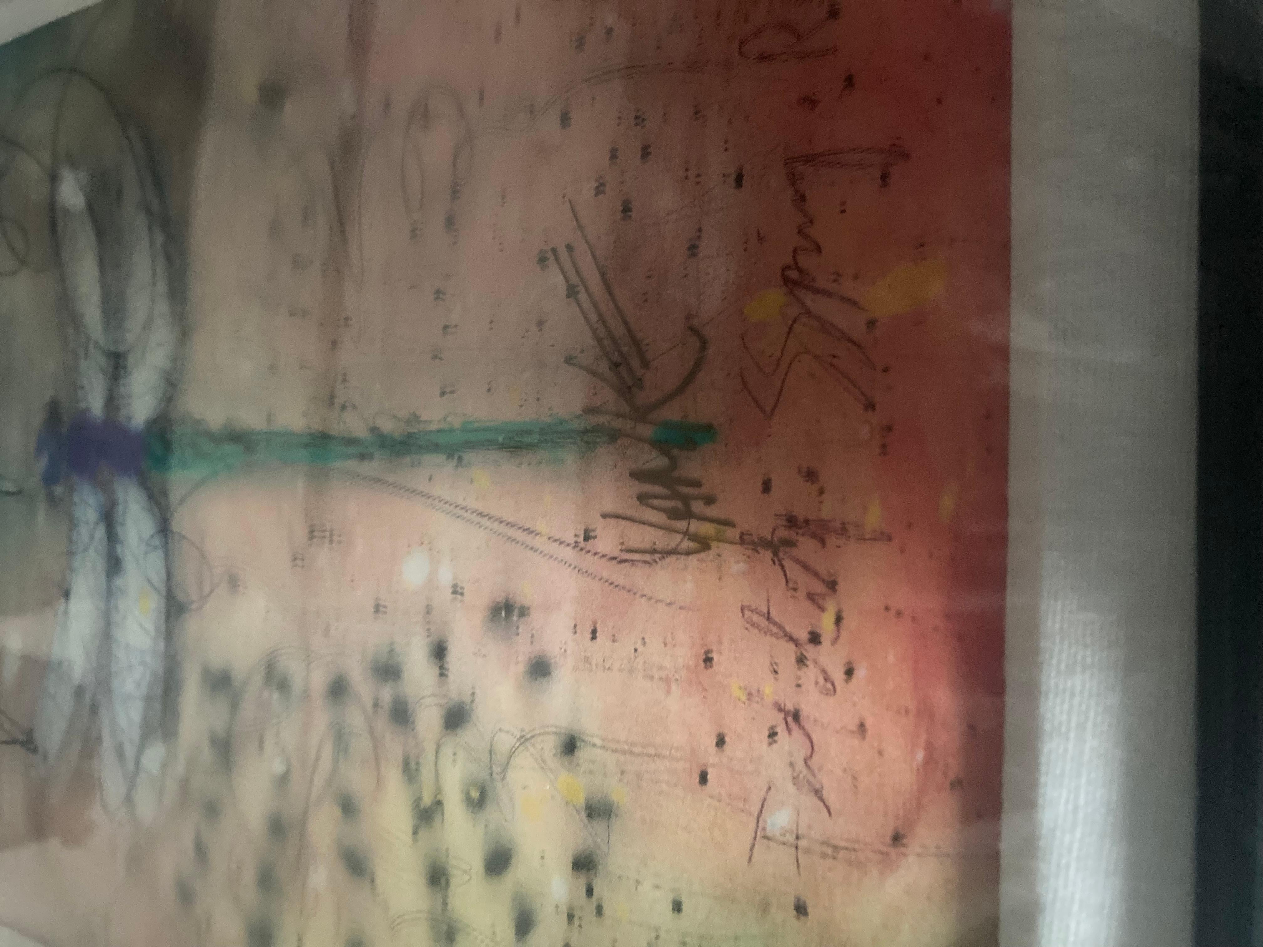 Holographic Dragonfly signed and numbered. In good condition measures 24x22