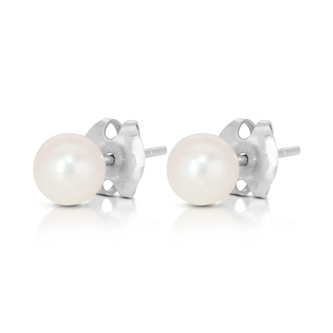 Timeless 14K White Gold Pearl Stud Earrings In New Condition In רמת גן, IL