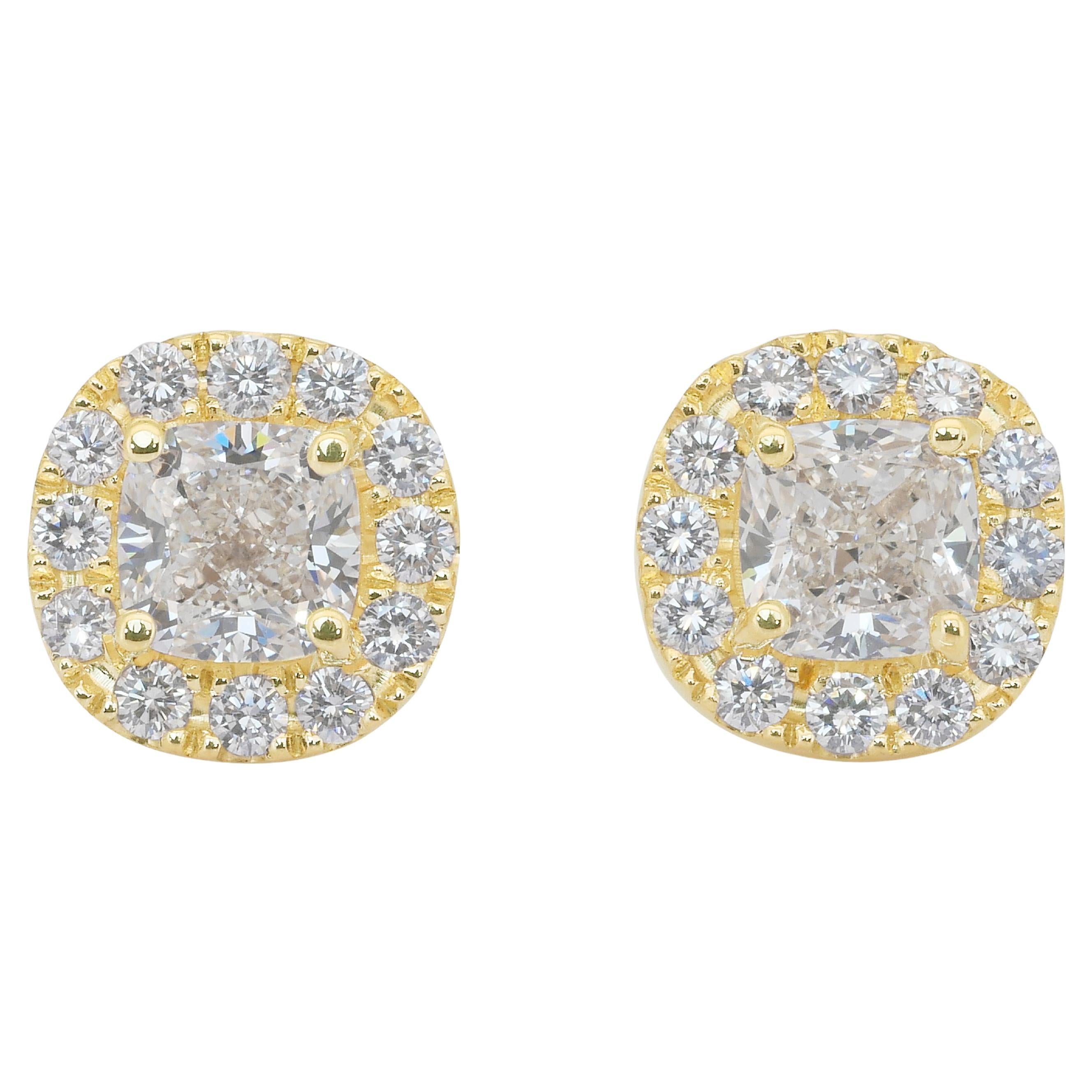 Timeless 2.57ct Diamonds Halo Stud Earrings in 18k Yellow Gold - IGI Certified