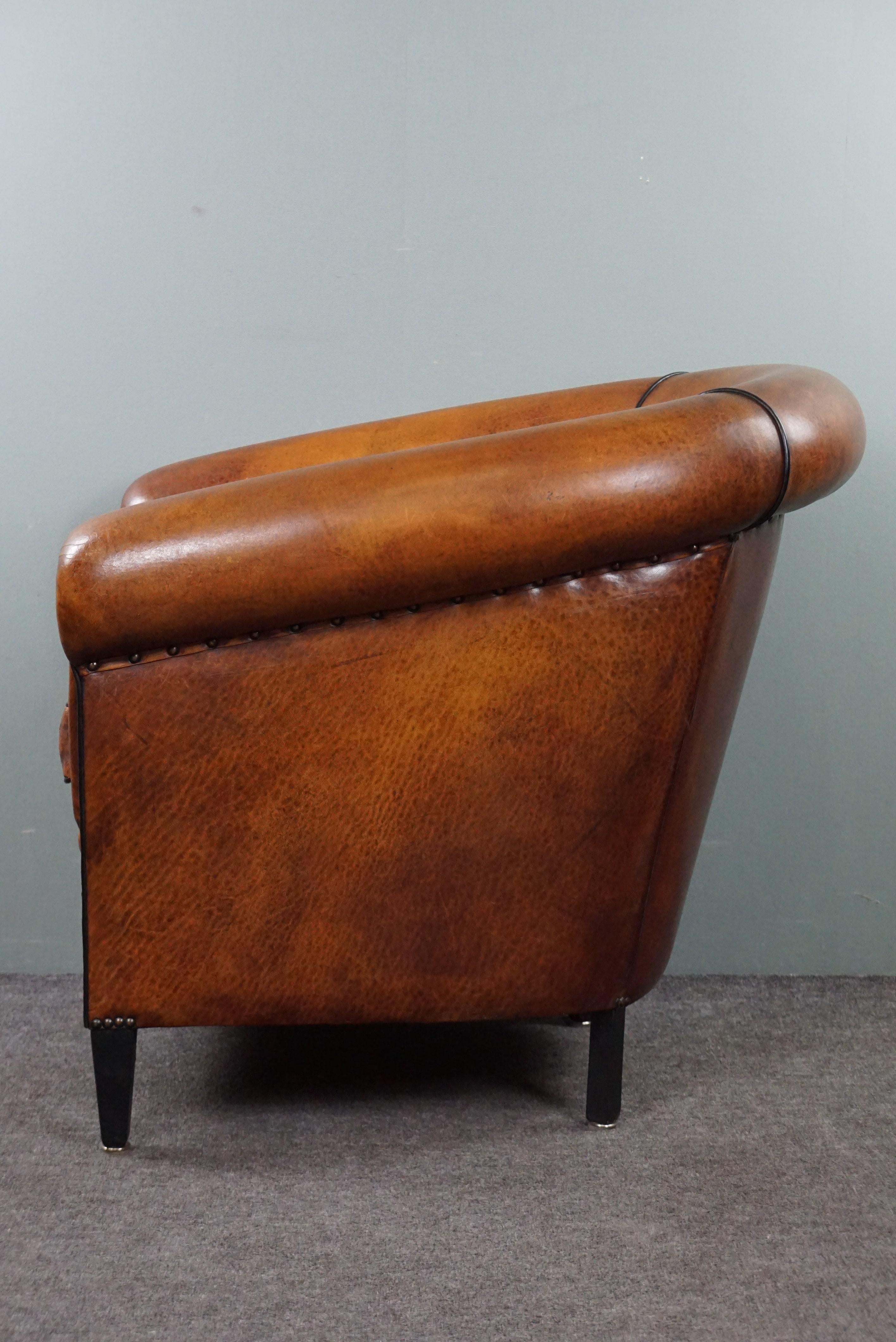 Leather Timeless and high-quality sheep leather club armchair