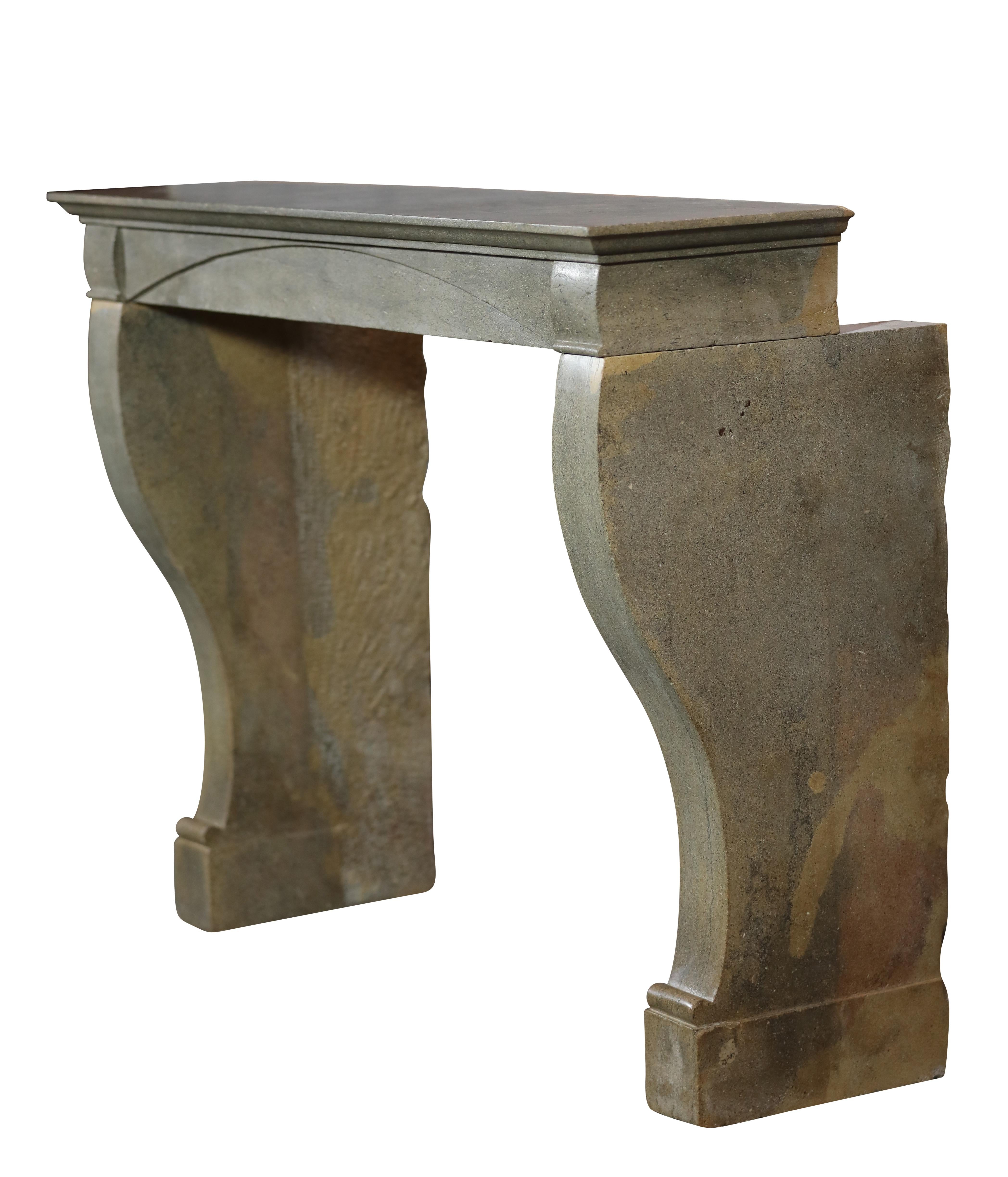 Timeless Bicolor Parisian Reclaimed Fireround Louis Philippe Style en vente 3