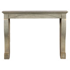 Timeless Bicolor Parisian Reclaimed Fireround Louis Philippe Style