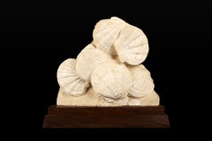 Timeless Elegance: Mounted Fossilized Scallops from Prehistoric Seas