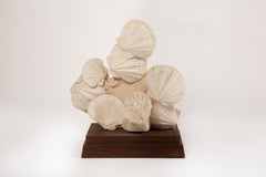 Timeless Elegance: Mounted Fossilized Scallops from Prehistoric Seas