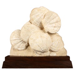 Timeless Elegance: Mounted Fossilized Scallops from Prehistoric Seas