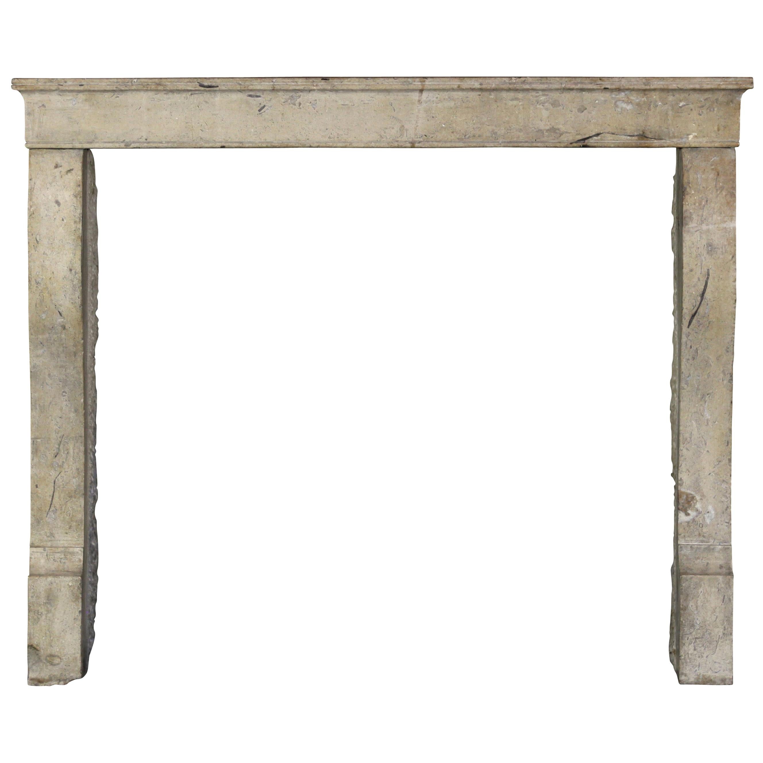 Timeless Elegant French Vintage Fireplace Surround