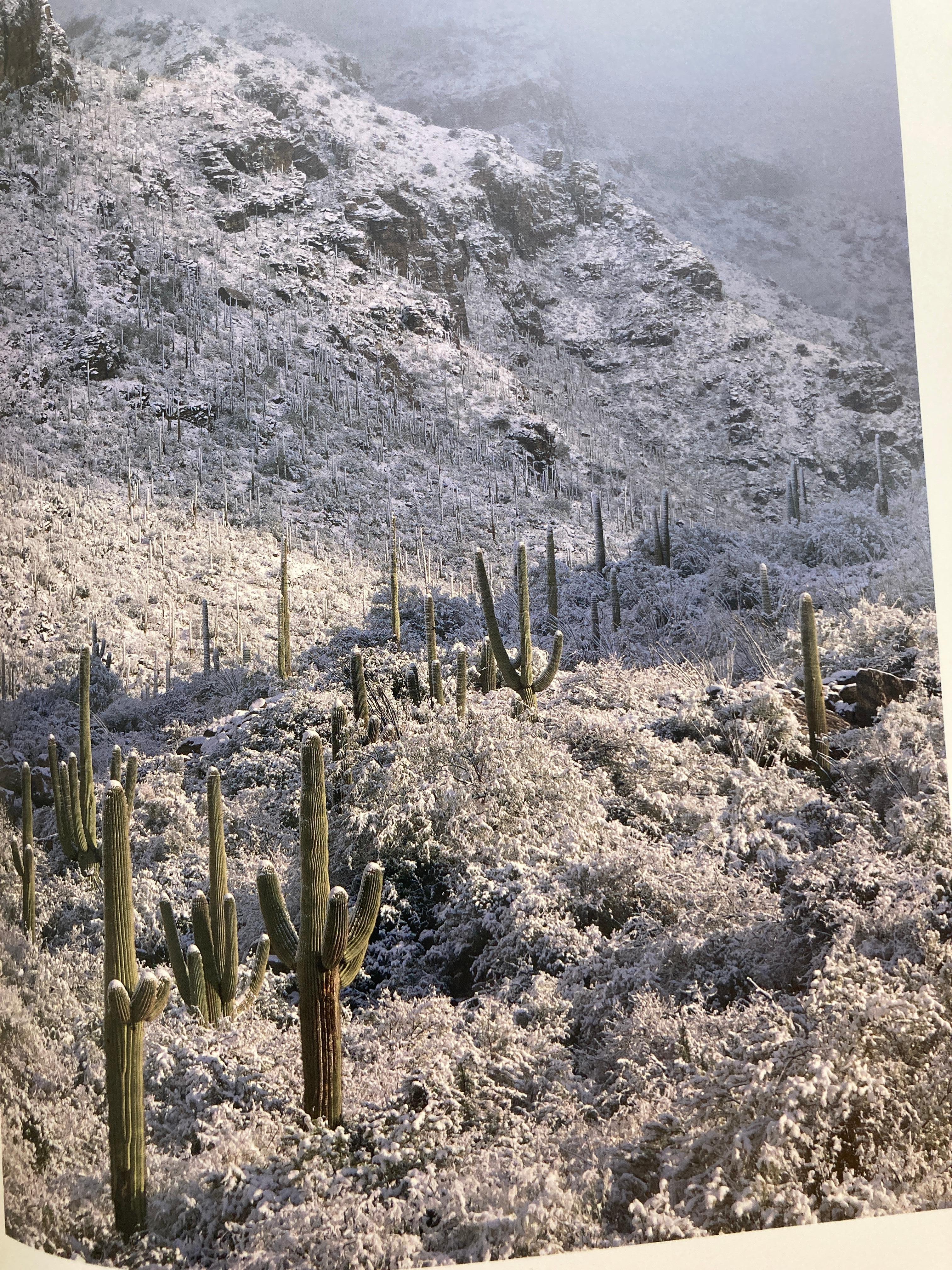Timeless Images from Arizona Highways Magazine by Dyer, Robert C 9