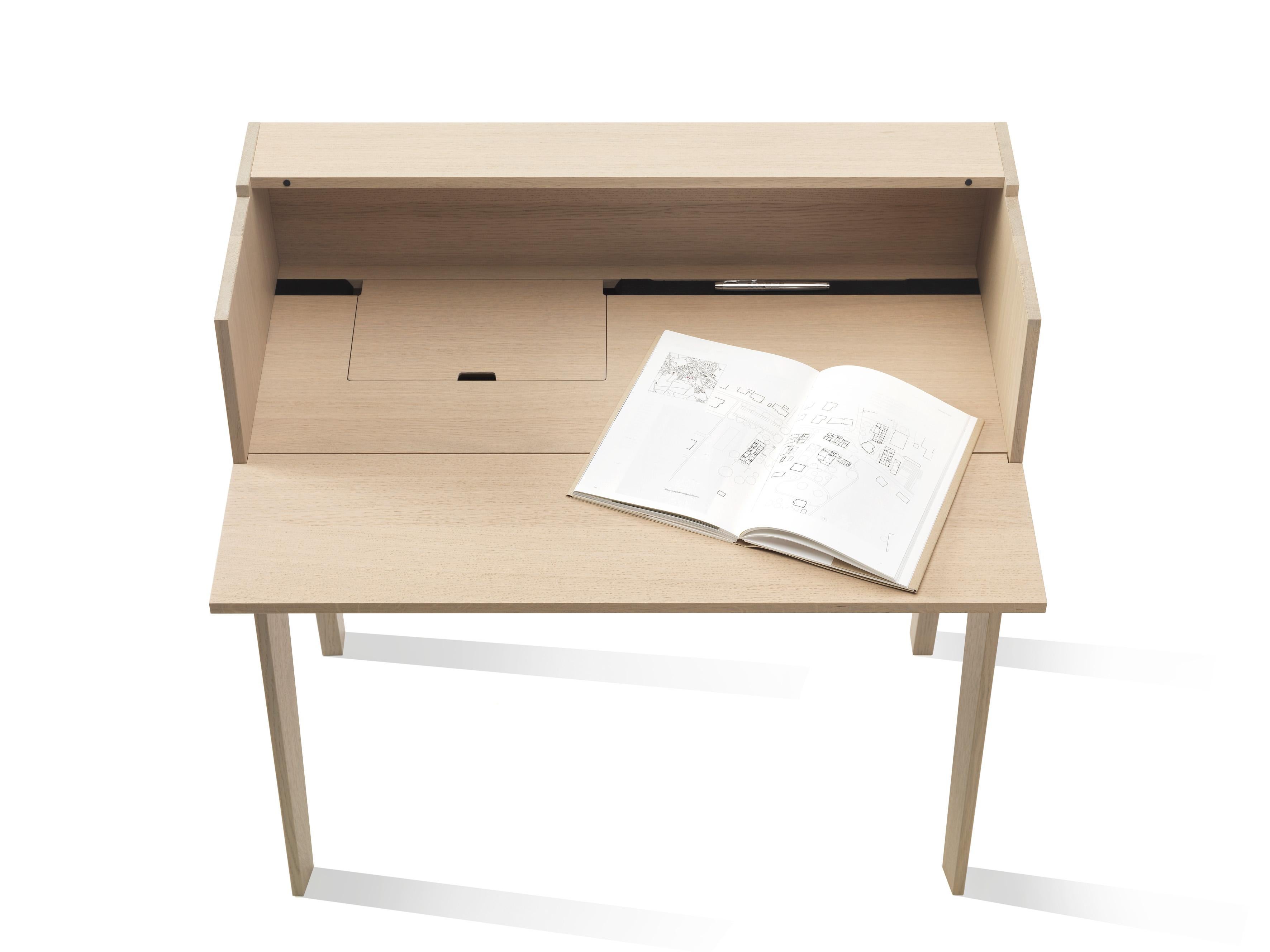 Stained Timeless Writing Desk 'At-At by Tomoko Azumi' with Storage, Swiss Made For Sale