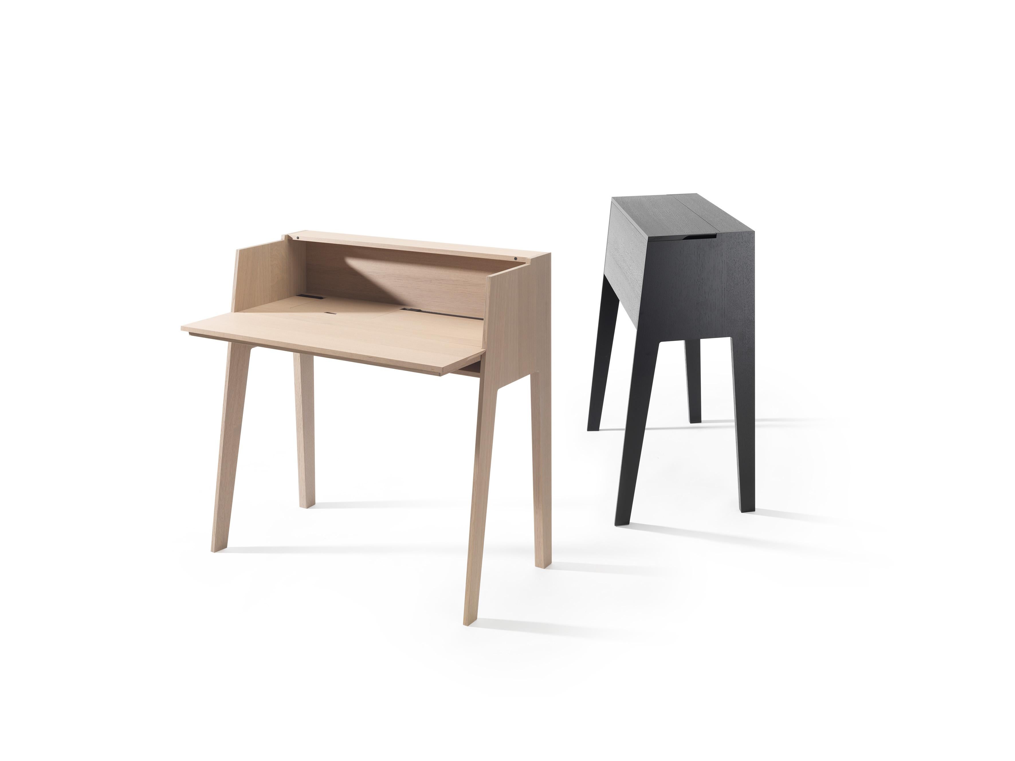 Timeless Writing Desk 'At-At by Tomoko Azumi' with Storage, Swiss Made For Sale 2