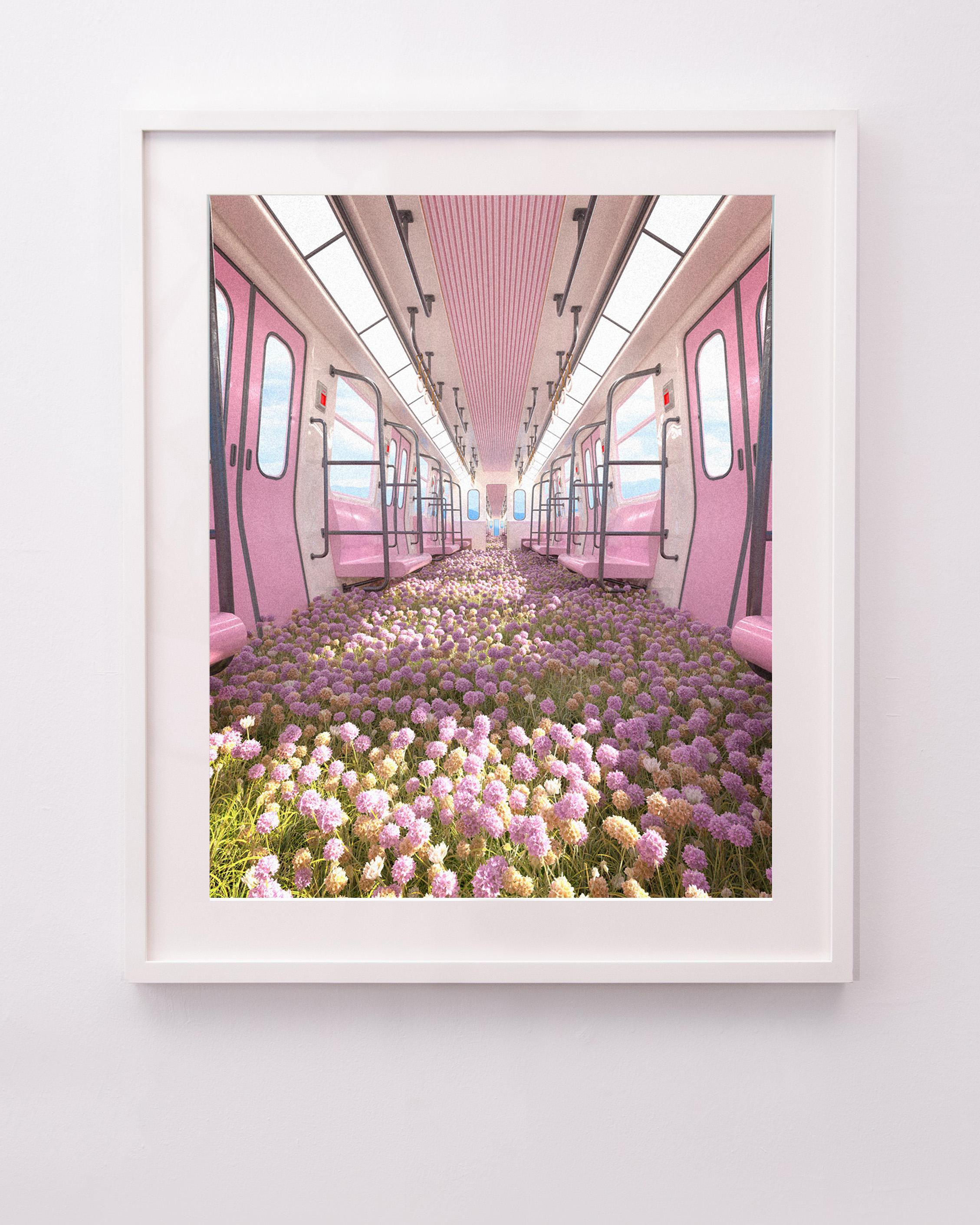 Allium Line - Photograph by Timo Helgert