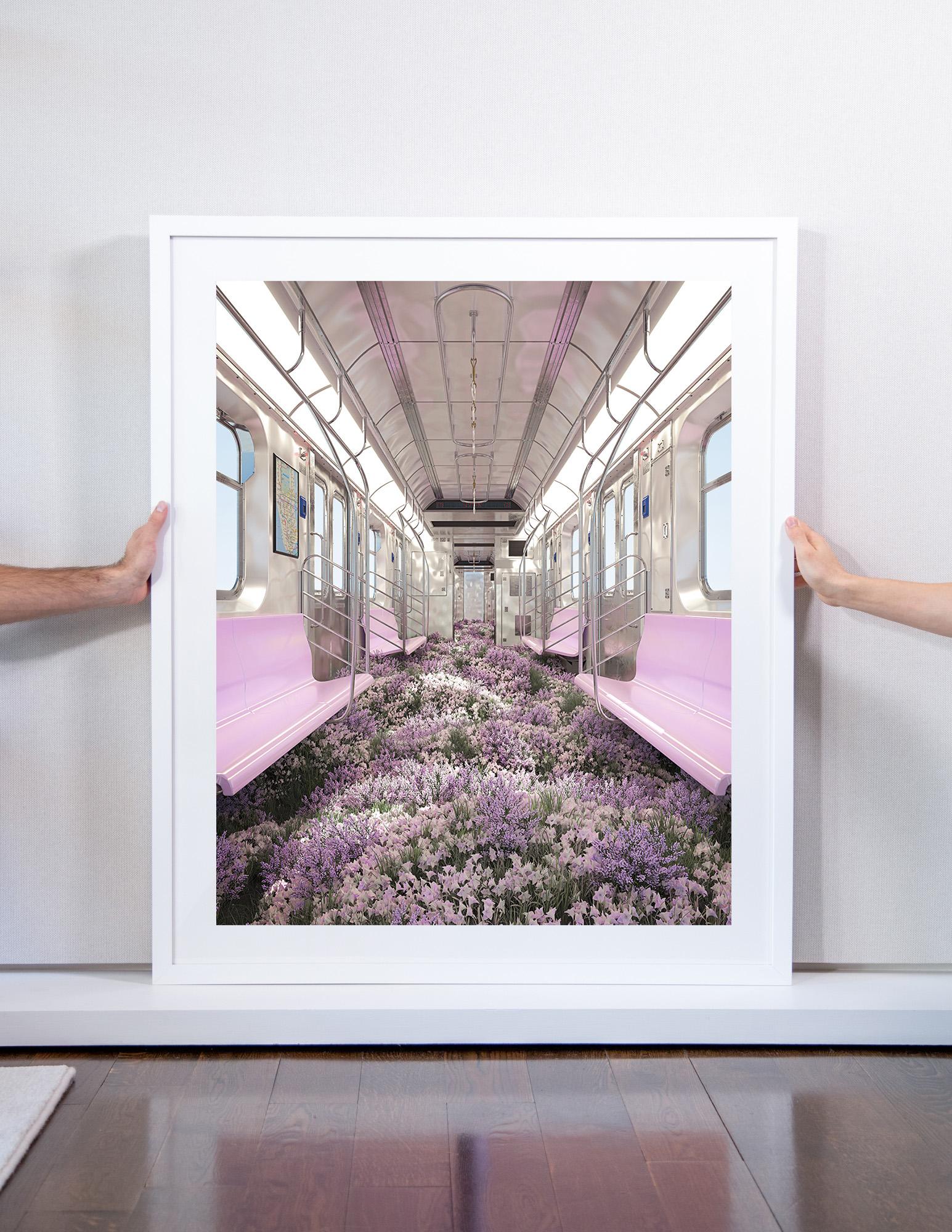 Lavendar Line - Photograph by Timo Helgert