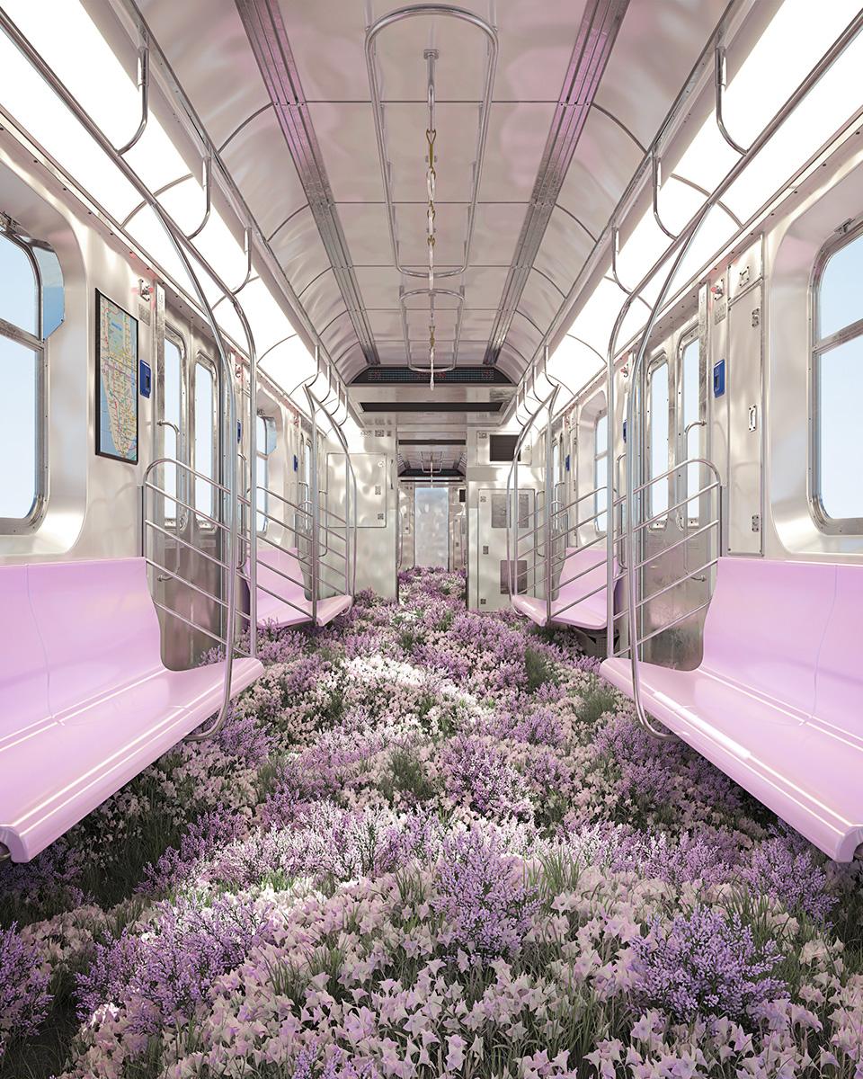Timo Helgert Color Photograph - Lavendar Line