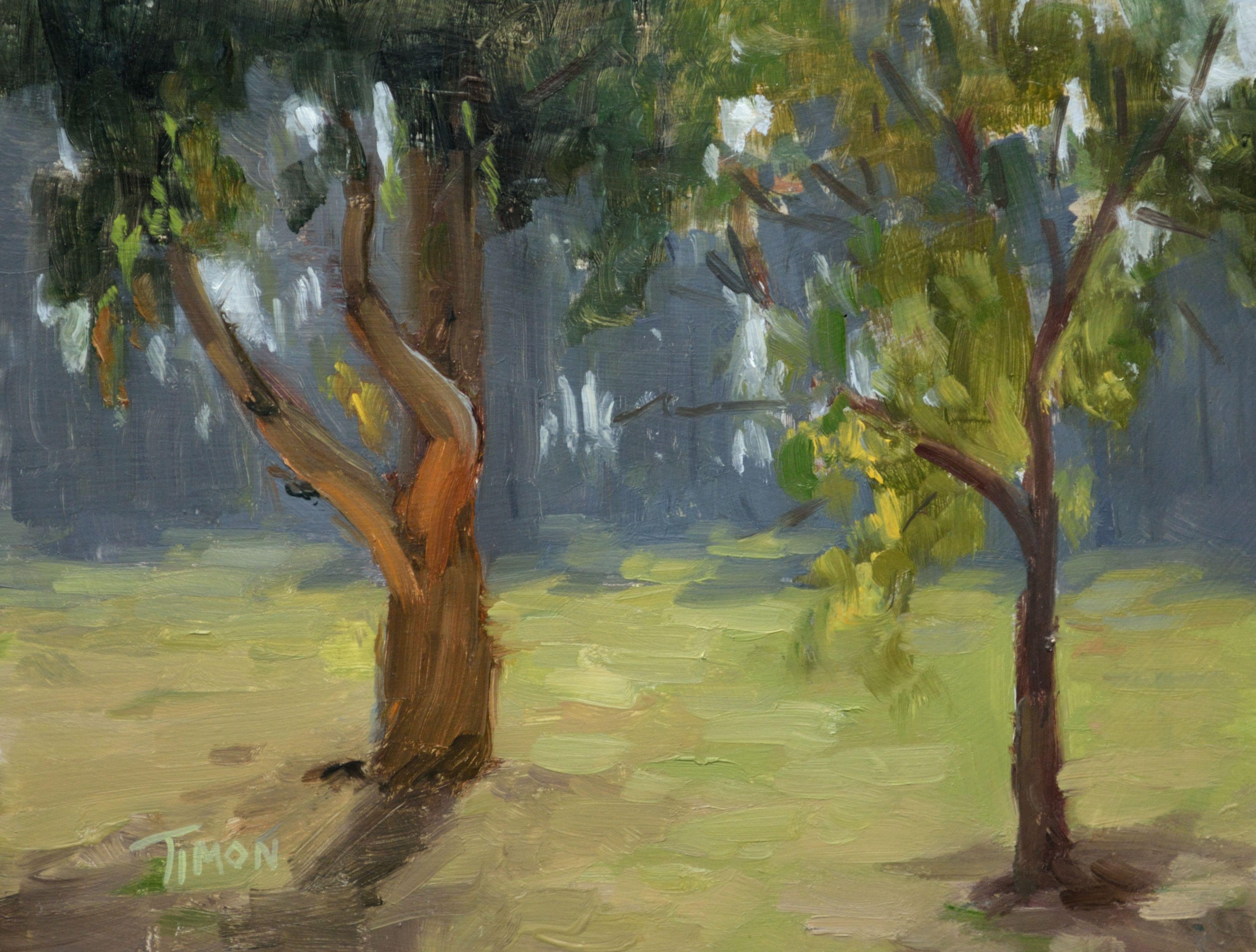 Landscape Painting Timon Sloane - Étude d'arbre rétroéclairé, peinture, huile sur toile