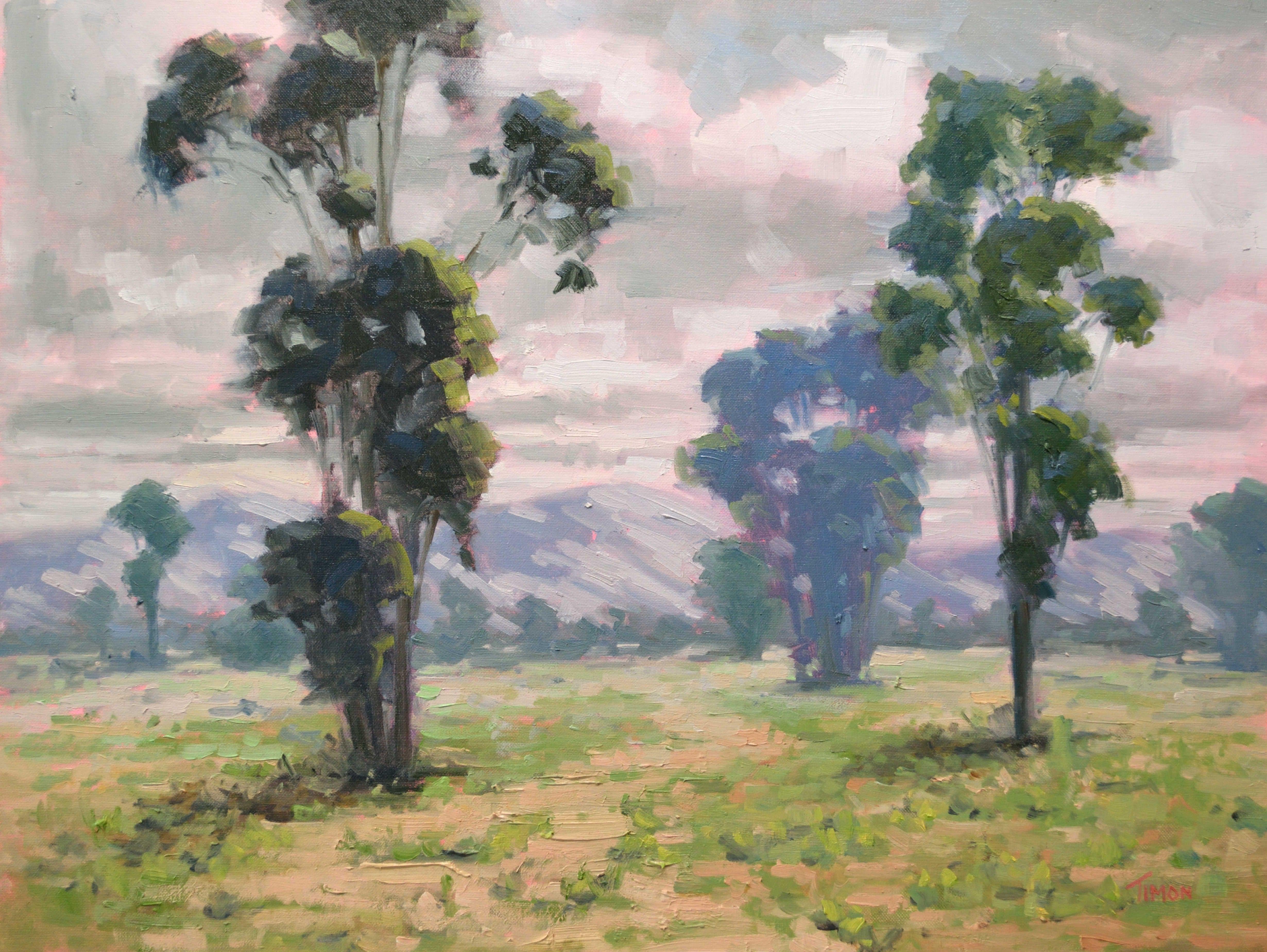 Grigio Eucalipto, Pittura, Olio su tela - Painting di Timon Sloane