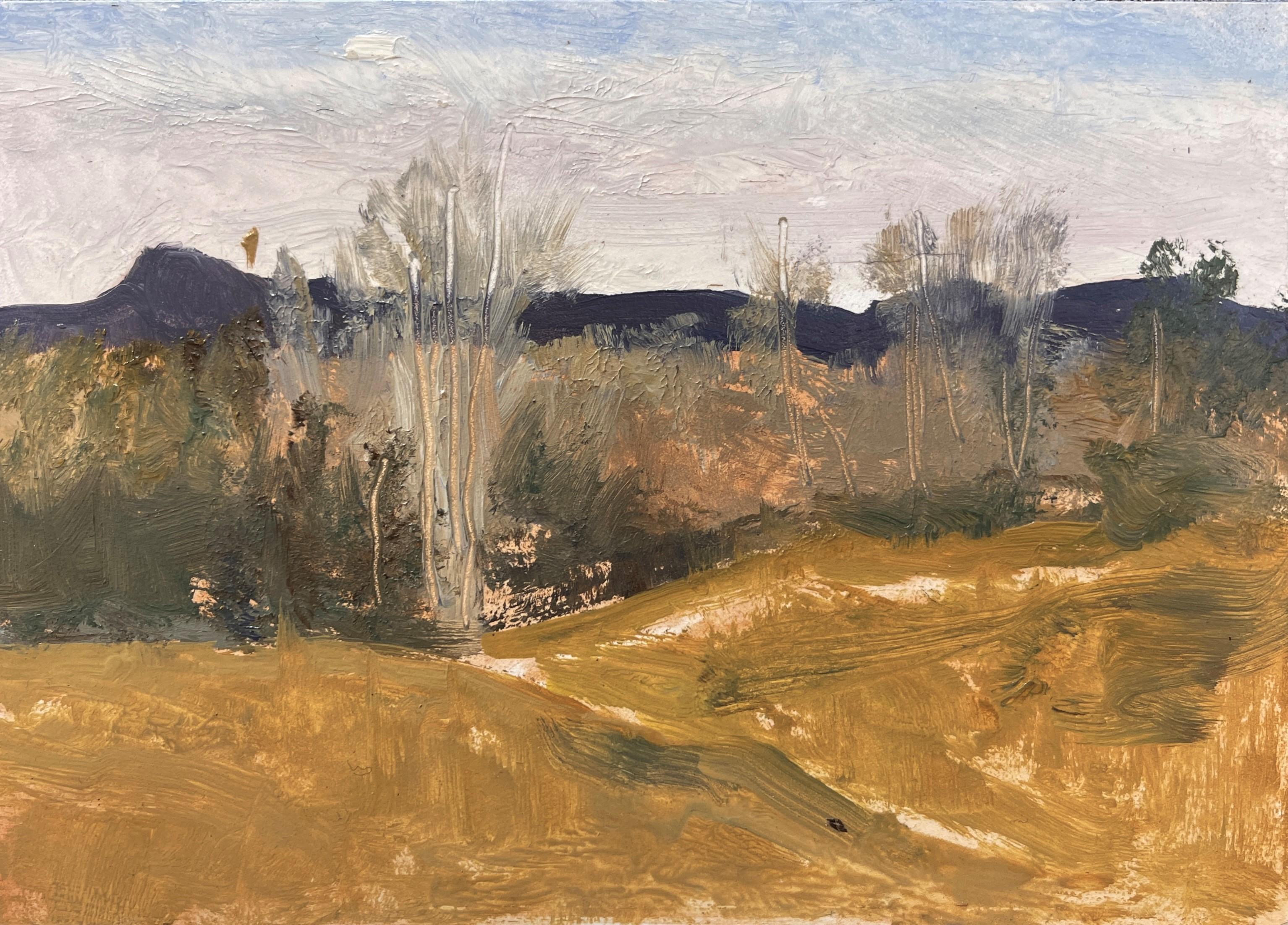 "Pike's Peak, Colorado" (2022) di Timothy J. Standring, dipinto a olio originale