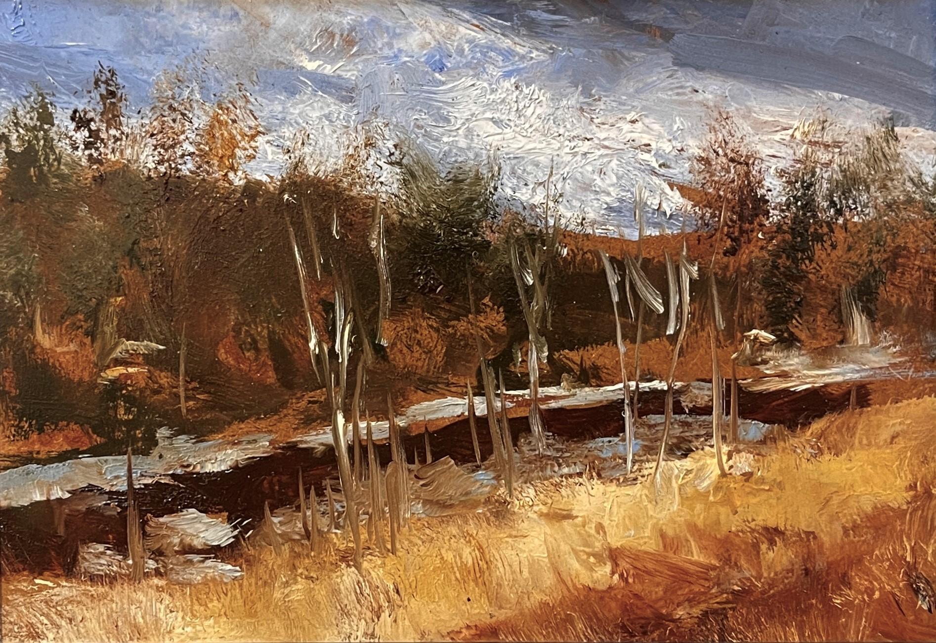"Fiume Platte, Denver a dicembre" (2023) Di Timothy J. Standring, Pittura a olio