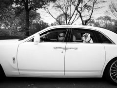 Ice- T, Fotografia Fine Art