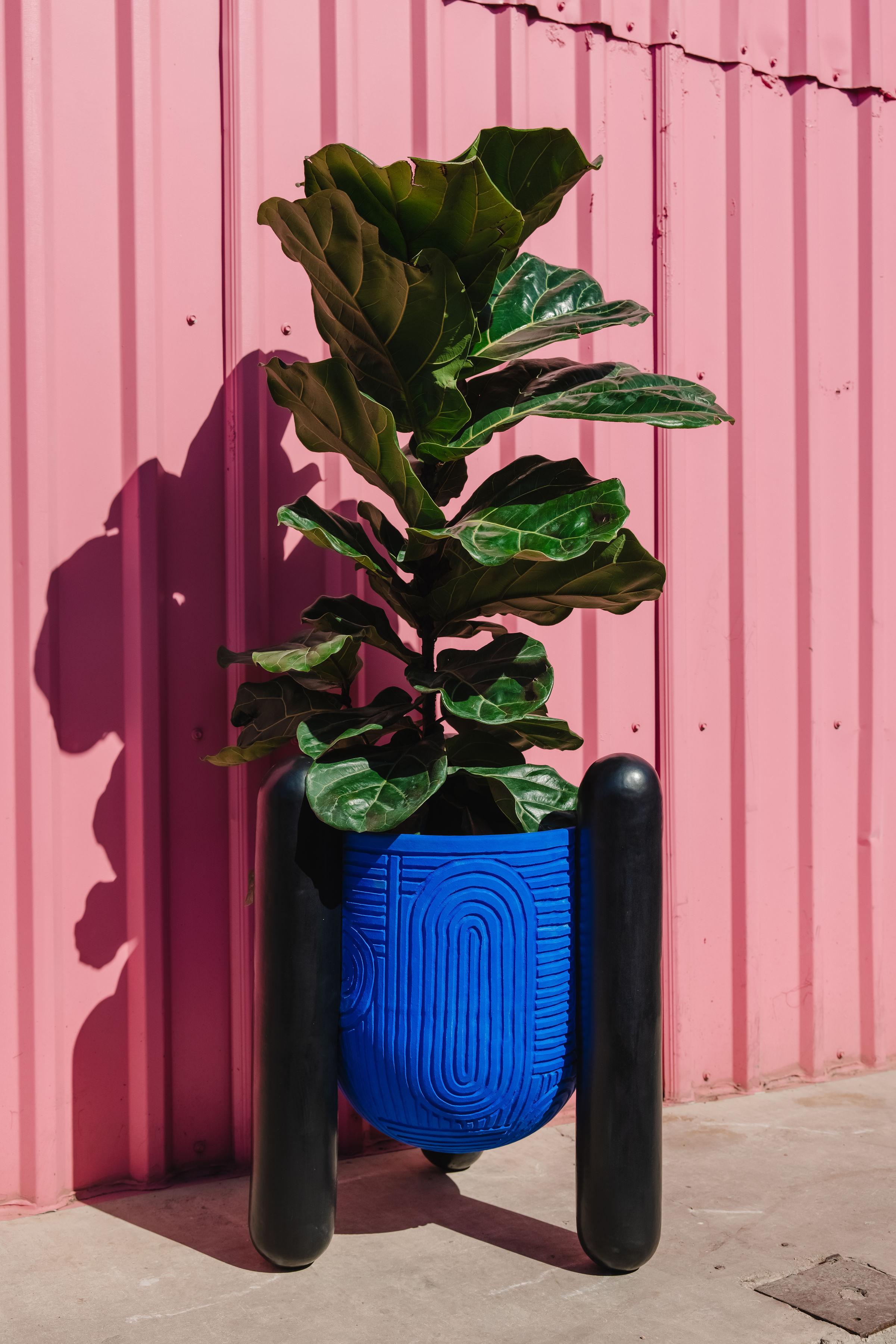 Contemporary Timpani Planter Medium by Sunshine Thacker