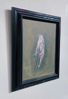 Catbird - Dead Bird Still Life, Original Oil Painting on Panel
